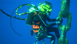 Diving Services